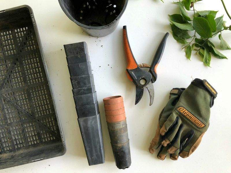 Ideas para mantener un jardín bonito con poco mantenimiento