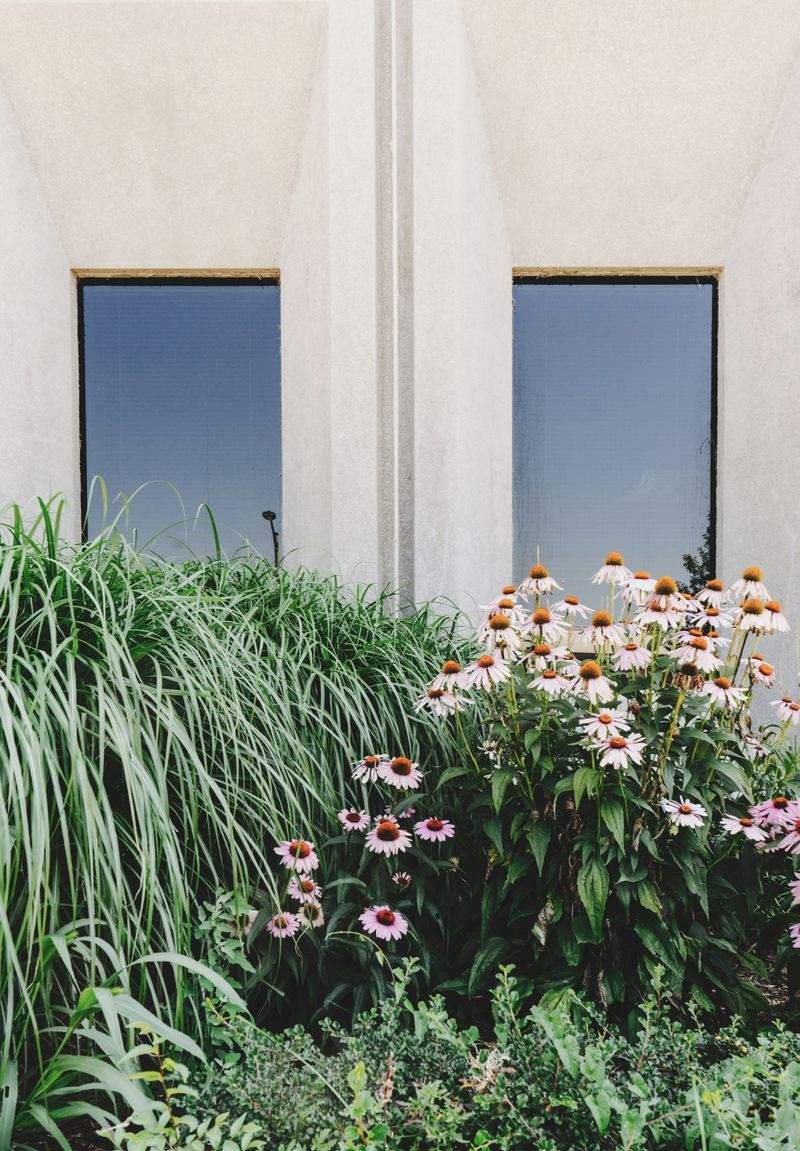 Jardines Verdemar SP 3