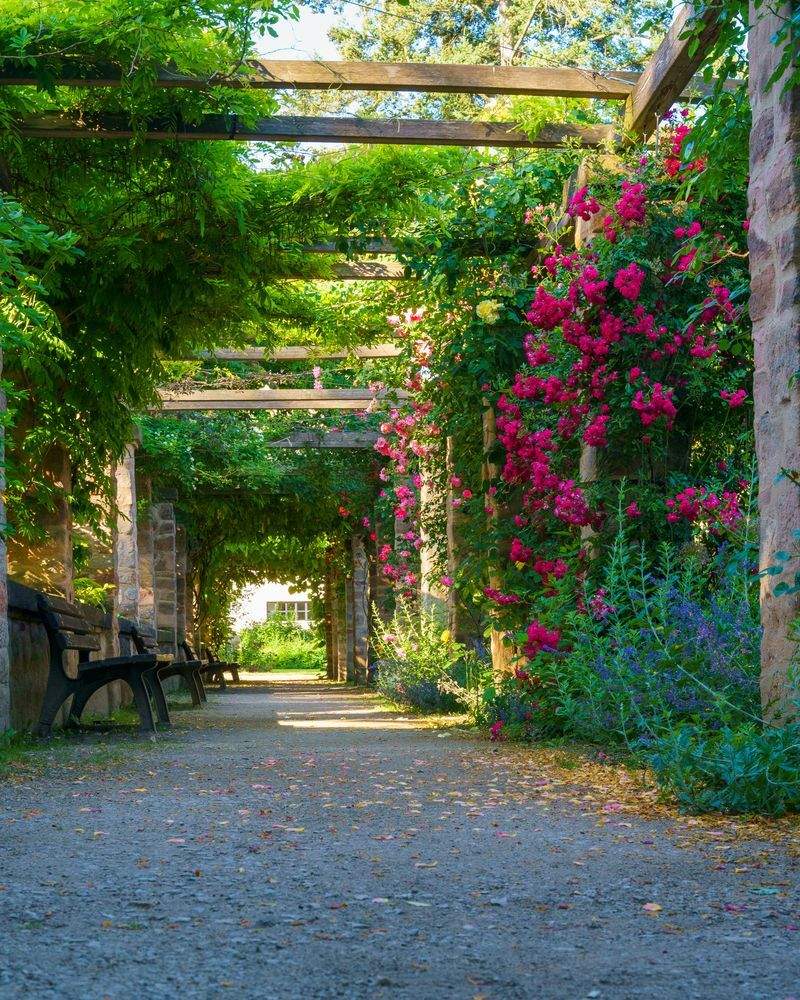 Jardines Verdemar SP 6